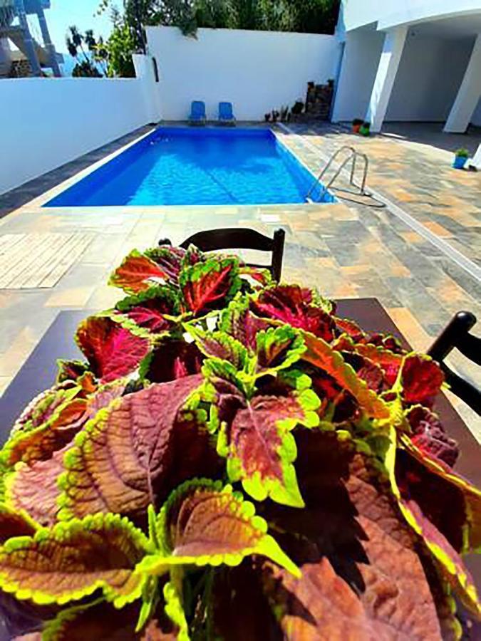 Hotel Seadel Ksamil Dış mekan fotoğraf
